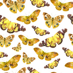 Watercolor pattern with the image of transparent butterflies in ocherous colors on a white background