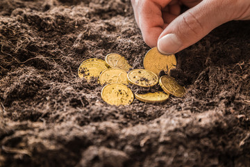 Woman's hand holding golden euro coins on the ground. Earning money from agricultural works.