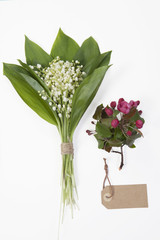 Lilly of the valley flowers and leaves bouquet, Flowers of an apple-tree of Nedzvetsky (Malus niedzwetzkyana Dieck)