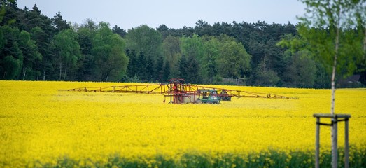 Traktor mit Feldspritze beim Ausbringen von Pflanzenschutzmittel in einem Feld mit blühendem Raps im Mai, Niedersachsen, Deutschland, Europa © Carola Vahldiek
