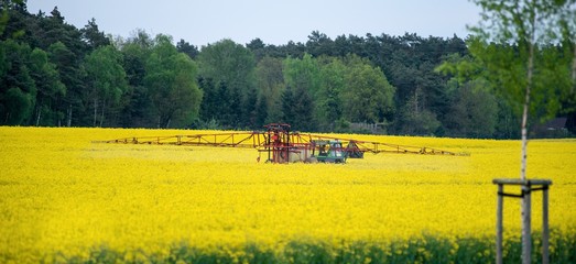 Traktor mit Feldspritze beim Ausbringen von Pflanzenschutzmittel in einem Feld mit blühendem Raps im Mai, Niedersachsen, Deutschland, Europa