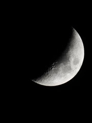 Naklejka premium Luna creciente