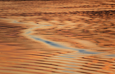 Reflections on the water with tiny bubbles full of oxygen raising from the ground.