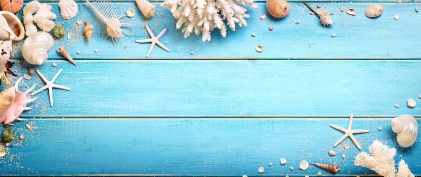 Seashells On Blue Wooden Background - Beach Concept