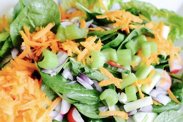 Mixed healthy salad with lettuce, radish, grated carrot, celery and cucmber 