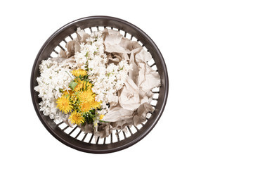 Bouquet of dandelions and lilacs in a trash can full of paper, top view, isolated on a white...