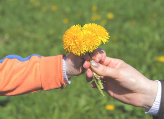 Close up of womans hand giving little yellow flower to child. Instagram