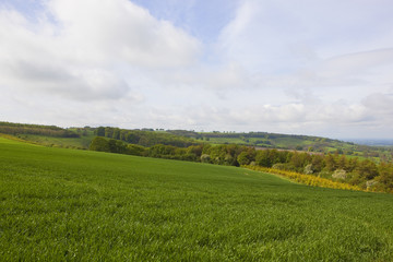 Fototapeta na wymiar scenic yorkshire wolds landscape
