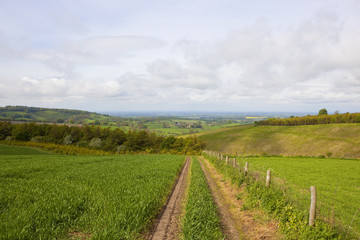 patchwork fields in the yorkshire wolds