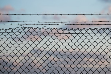 barbed wire fence