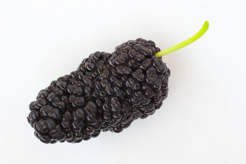 One berry mulberry with a tail on a white background.