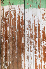 old green and white wood texture