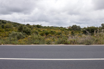 Road crossing the countryside