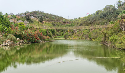 Puente colgante en la naturaleza