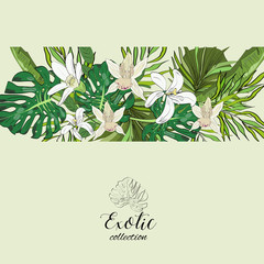 Tropical hand drawn exotic collection background with leaves and flowers.