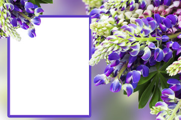 Greeting card with lupin bouquet of flowers
