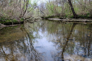 River in the forest