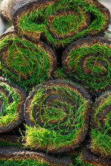 Green lawn grass in rolls