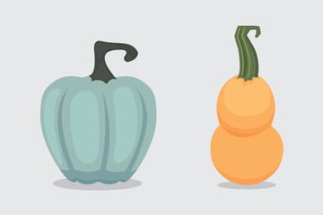 Set vector cartoon Pumpkin isolated