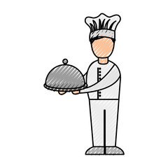 professional chef avatar character vector illustration design