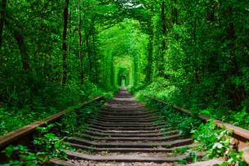 Obraz premium a railway in the spring forest tunnel of love