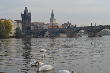 Charles bridge,Prague,Czech Republic