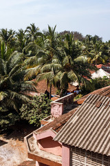 Fototapeta na wymiar tropical forest and roofs tops view