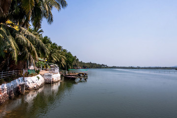 Fototapeta na wymiar indian river with palm trees