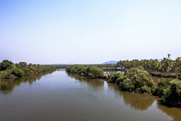 Fototapeta na wymiar indian river with palm trees