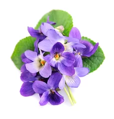 Deurstickers Bouquet of violets flowers . © margo555