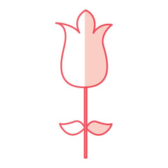 cute rose garden isolated icon vector illustration design