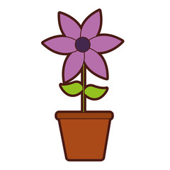 cute flower garden with pot isolated icon vector illustration design