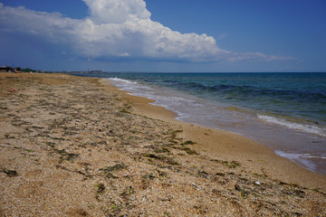 Golden beach with seaweed at the bright blue sea against the shoreline and the horizon under the blue sky