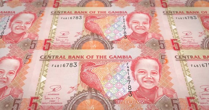 Banknotes of five gambian dalasis of Gambia rolling, cash money, loop