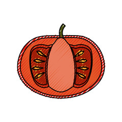 Fresh tomato vegetable icon vector illustration graphic design