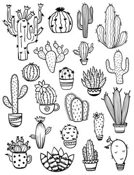 Sketch of a cactus Stock Vector Image & Art - Alamy