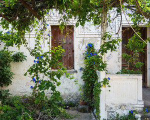 Fototapeta na wymiar Old abandoned house overgrown with greenery