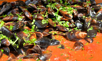 Cooking mussels with garlic,wine, tomato sauce and parsley
