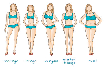 Female body figures, woman shapes, five types