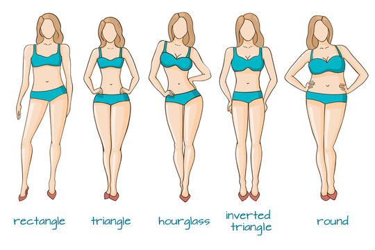 Gallery For > Female Body Type Chart