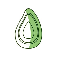 Avocado delicious vegetable icon vector illustration graphic design