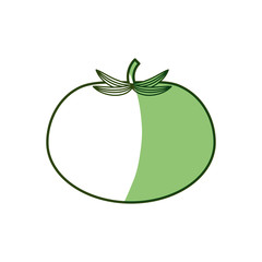 Fresh tomato vegetable icon vector illustration graphic design