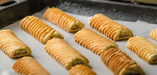 Homemade sugar cookies on a baking sheet. Baked in oven.