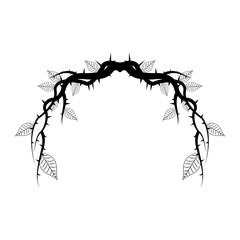 vintage branch thorns leaves decoration rustic vector illustration