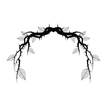 vintage branch thorns leaves decoration rustic vector illustration