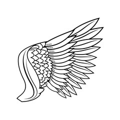 wing feathers bird freedom fly image vector illustration