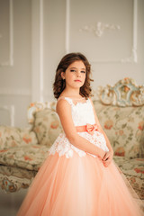 Little beautiful girl with brown hair in a Peach-colored dress. Poses for a photographer