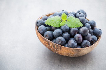 Fresh blueberries natural coconut in a bowl on a gray background.