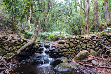 Petit ruisseau en Forêt