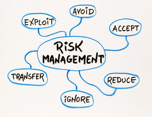 risk  management mind map sketch